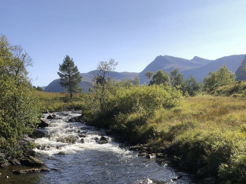 Fjordlandschaft